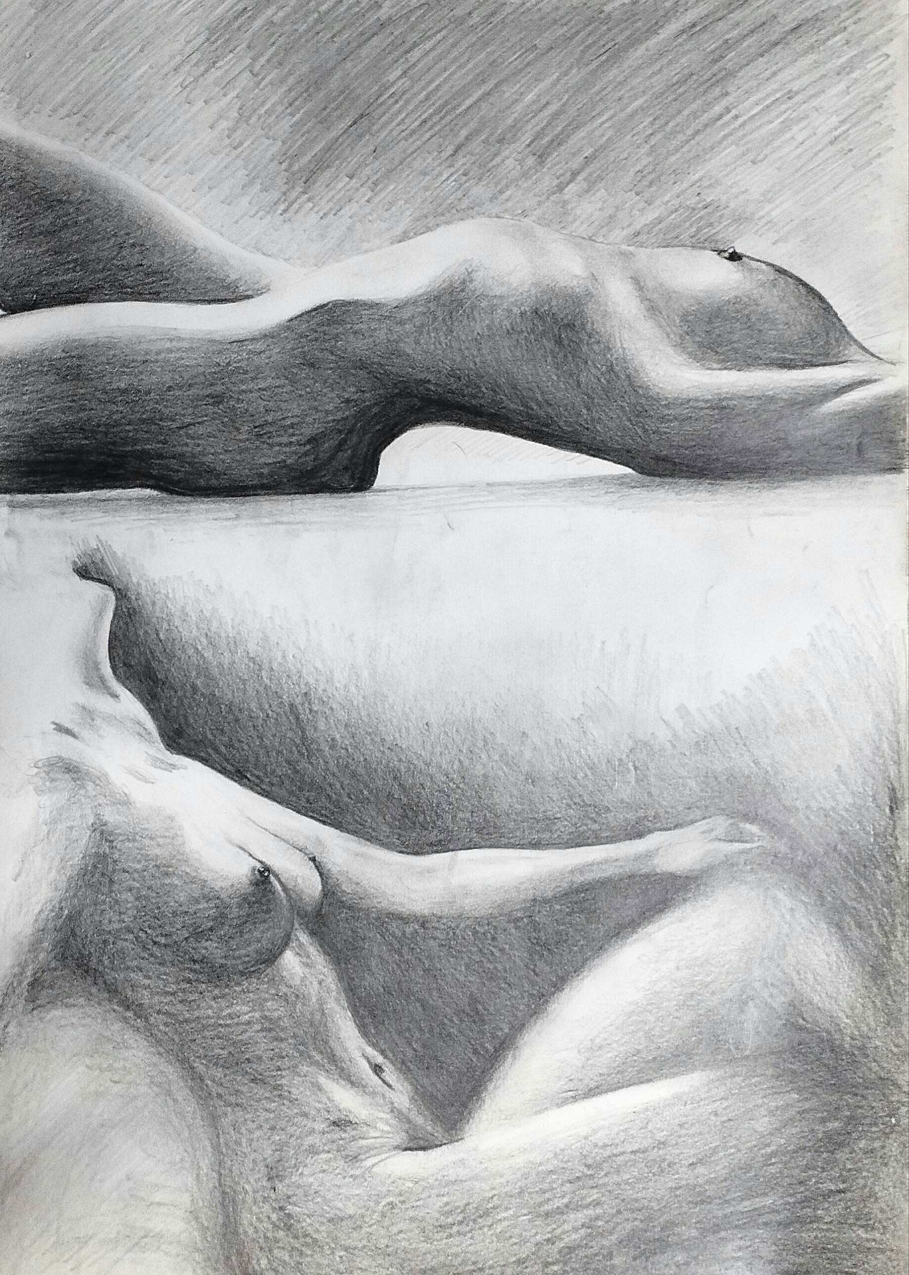 Imagen del Producto 51